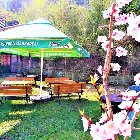 Leyla Guesthouse Castel Брашов Экстерьер фото