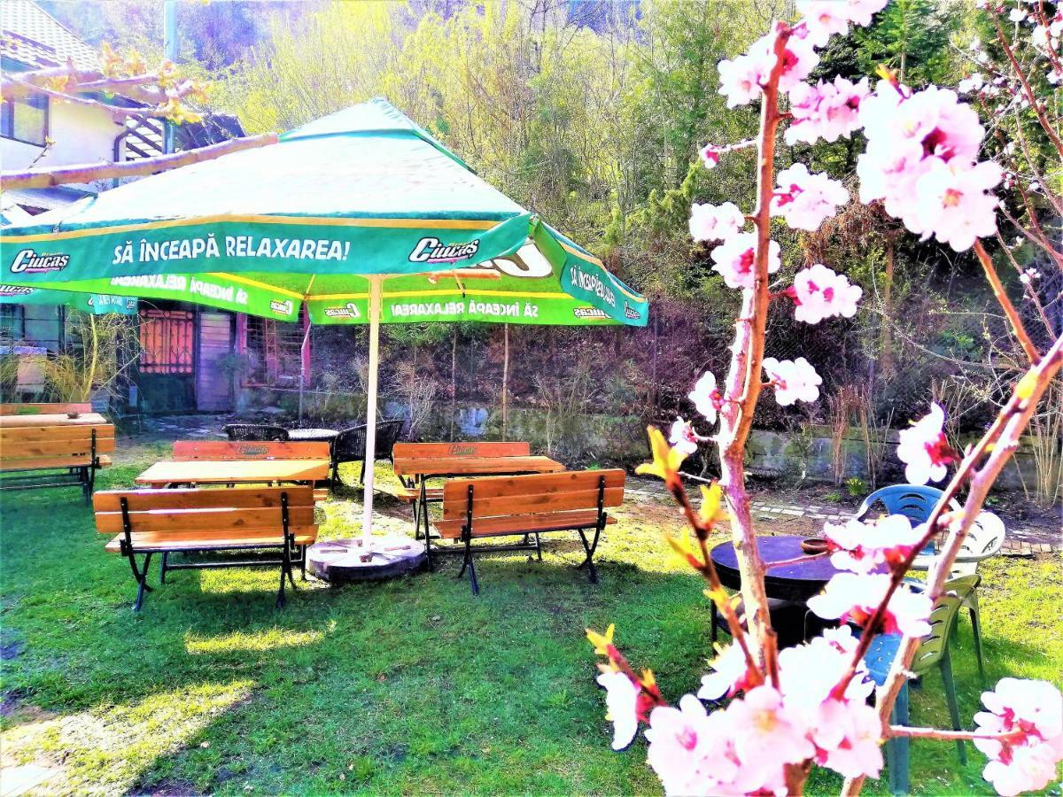 Leyla Guesthouse Castel Брашов Экстерьер фото