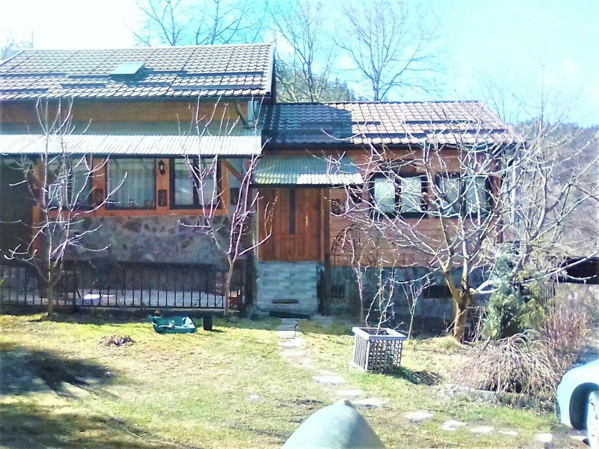 Leyla Guesthouse Castel Брашов Экстерьер фото
