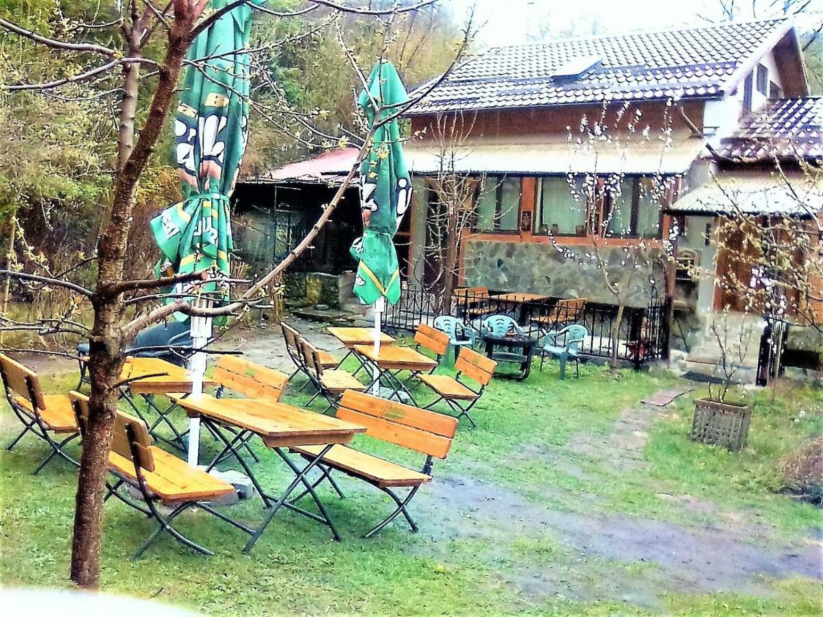 Leyla Guesthouse Castel Брашов Экстерьер фото