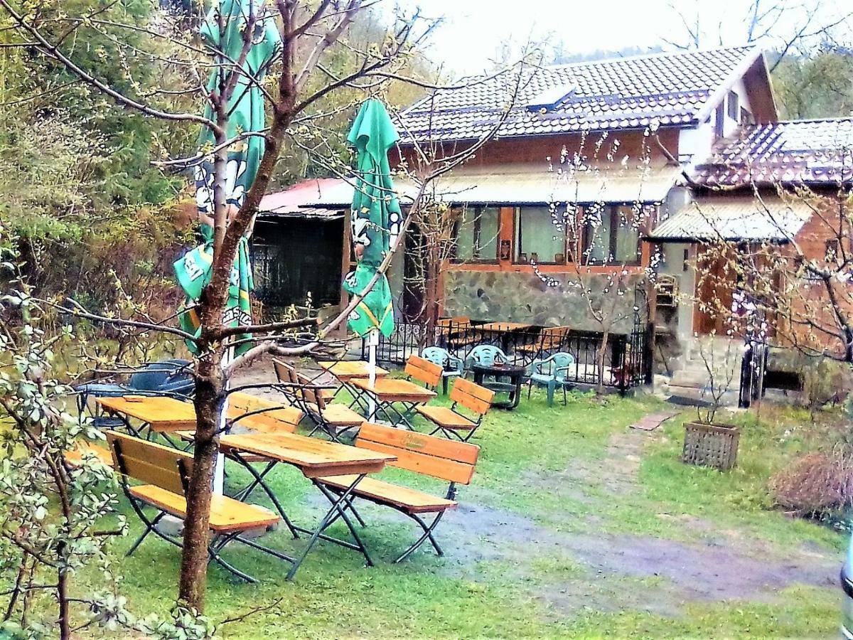 Leyla Guesthouse Castel Брашов Экстерьер фото