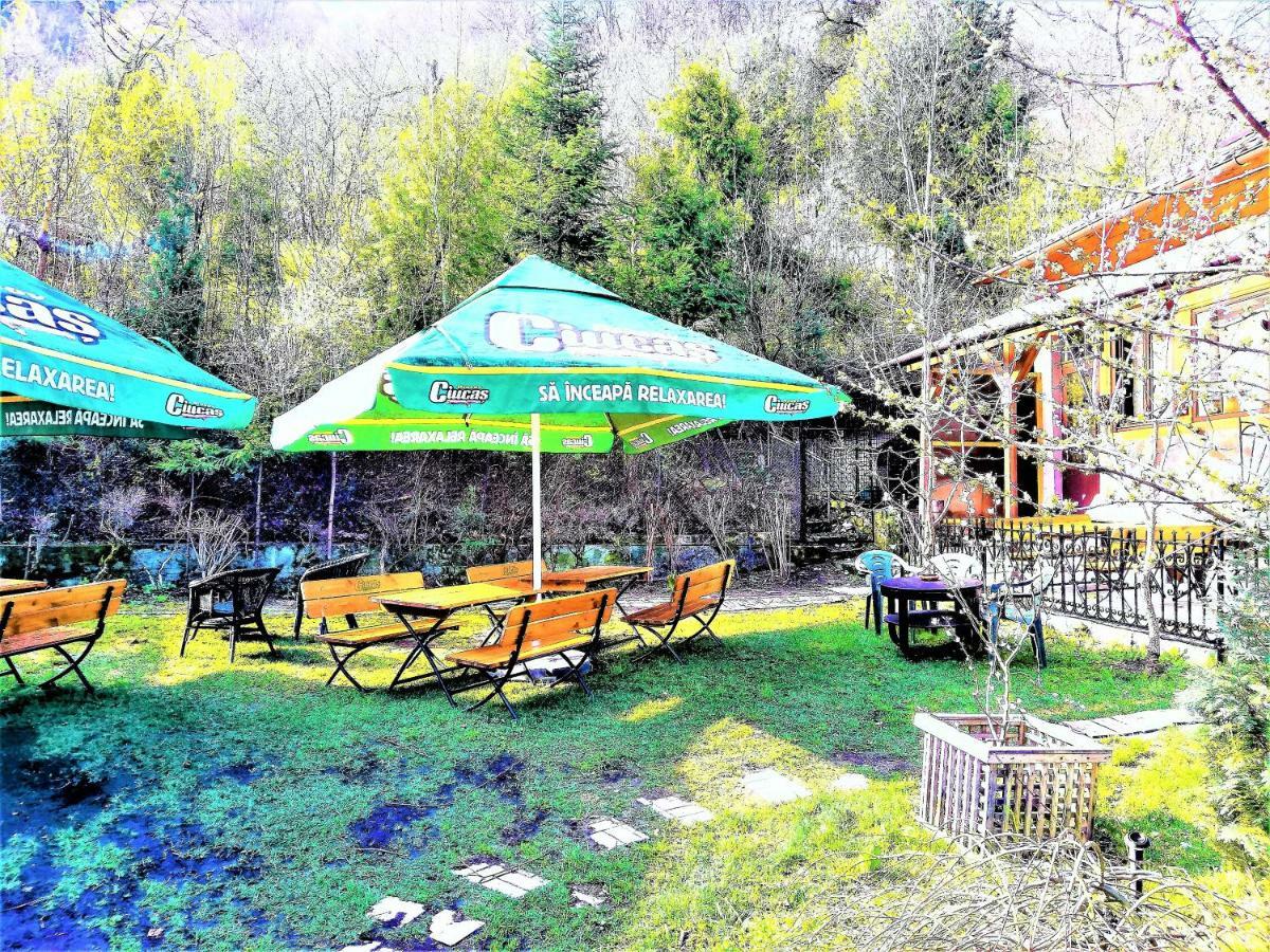 Leyla Guesthouse Castel Брашов Экстерьер фото