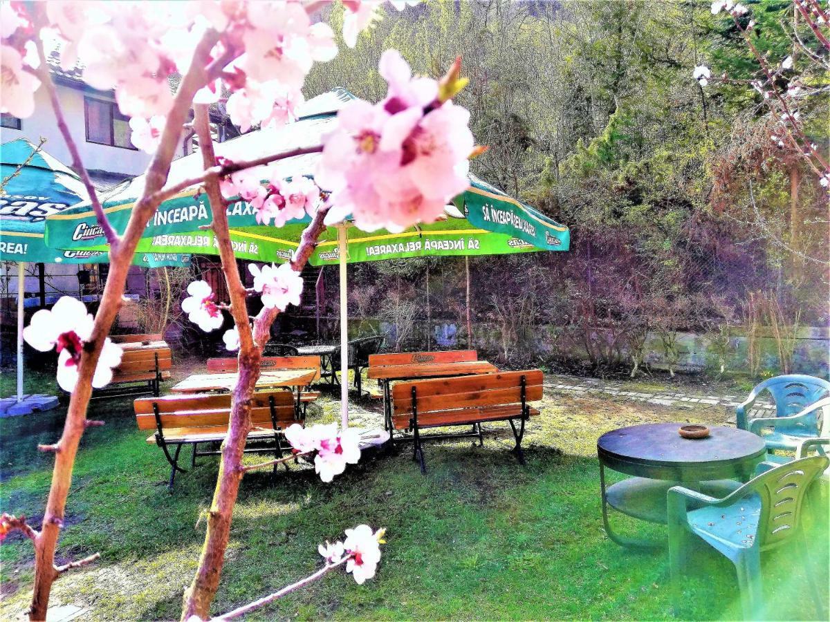 Leyla Guesthouse Castel Брашов Экстерьер фото