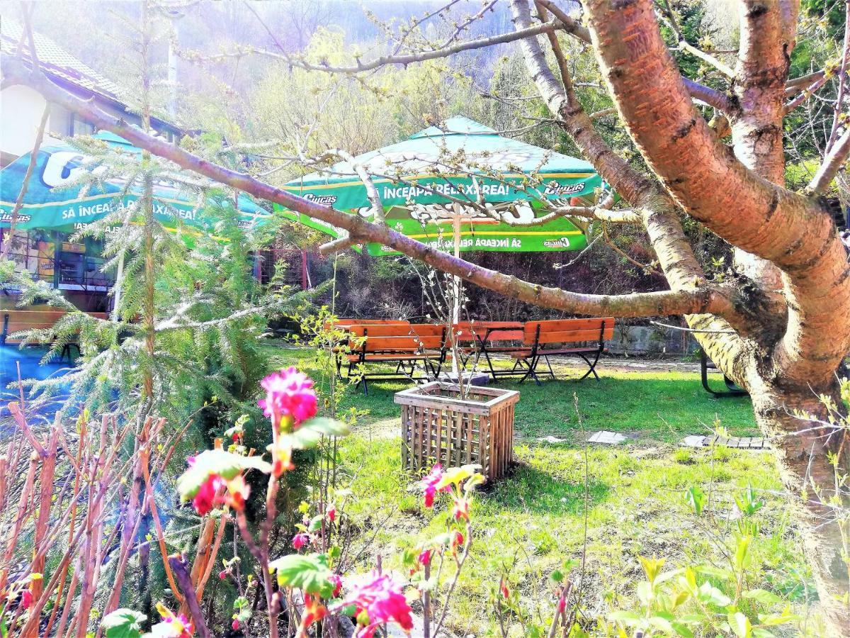 Leyla Guesthouse Castel Брашов Экстерьер фото