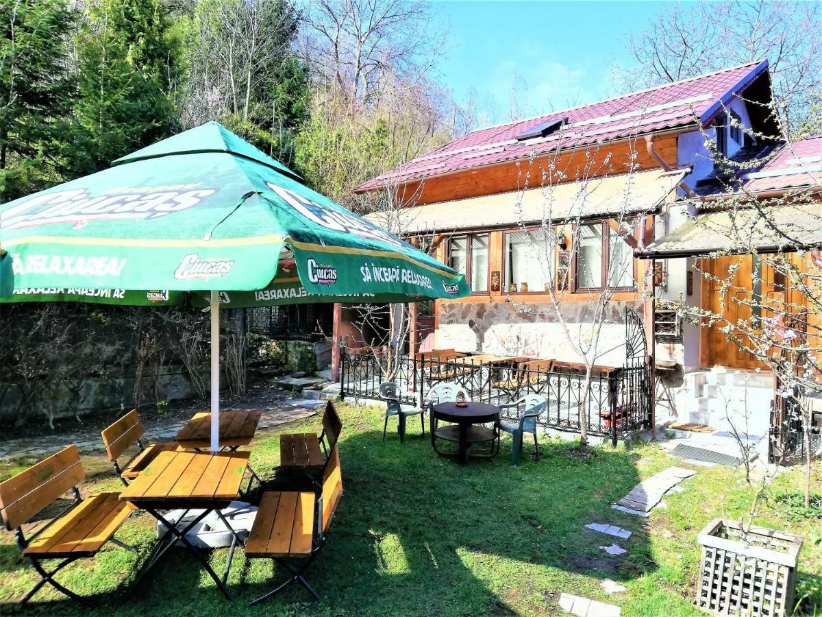 Leyla Guesthouse Castel Брашов Экстерьер фото