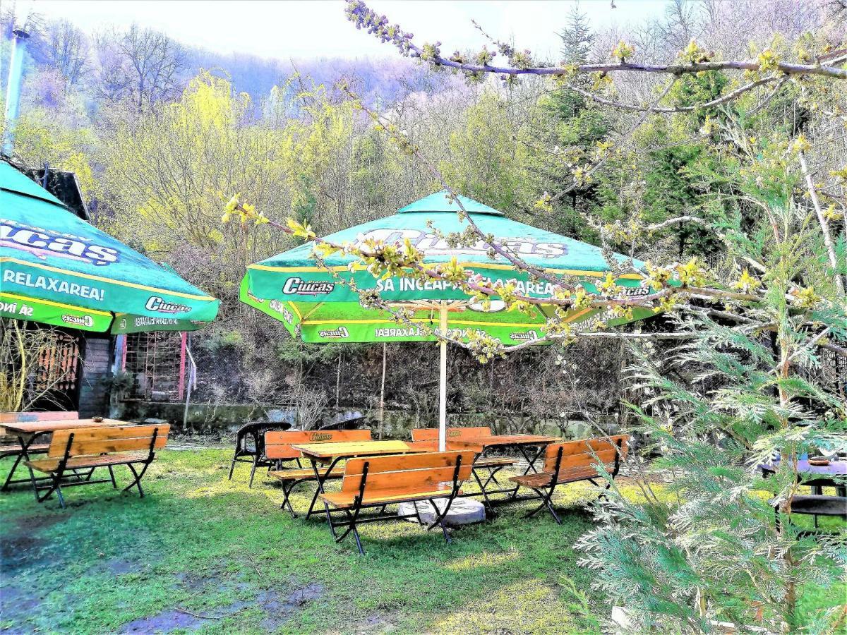 Leyla Guesthouse Castel Брашов Экстерьер фото