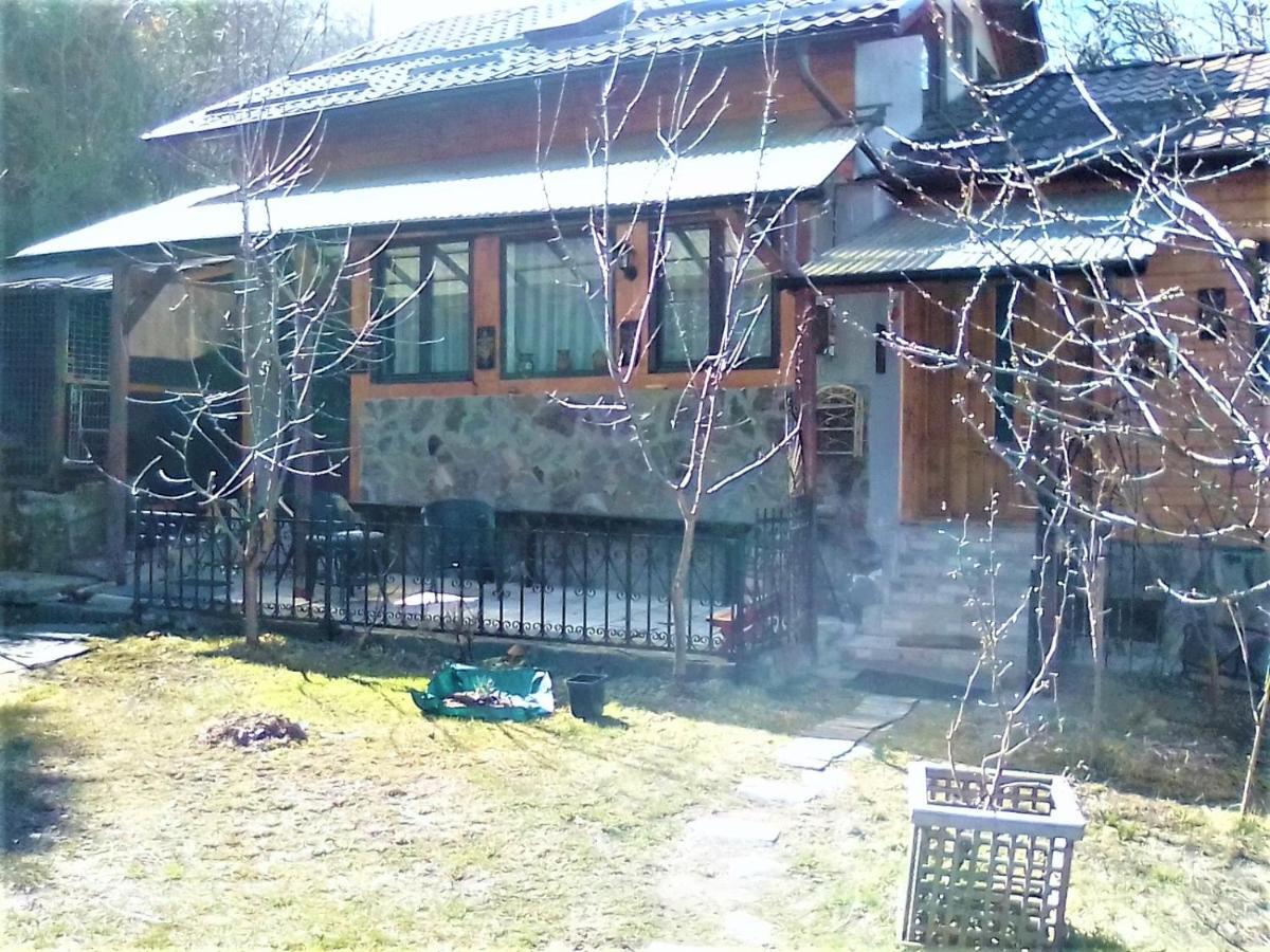 Leyla Guesthouse Castel Брашов Экстерьер фото