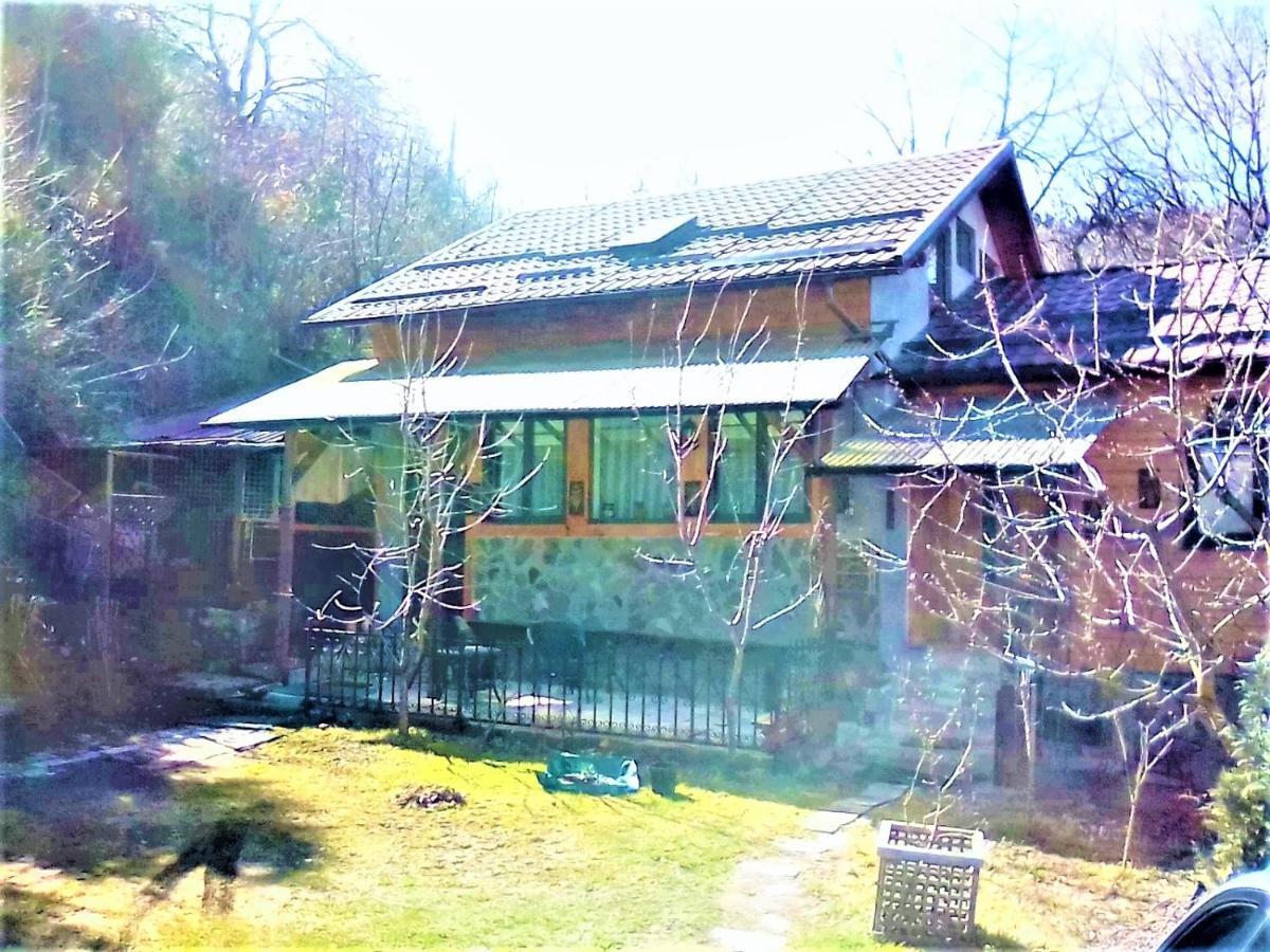 Leyla Guesthouse Castel Брашов Экстерьер фото