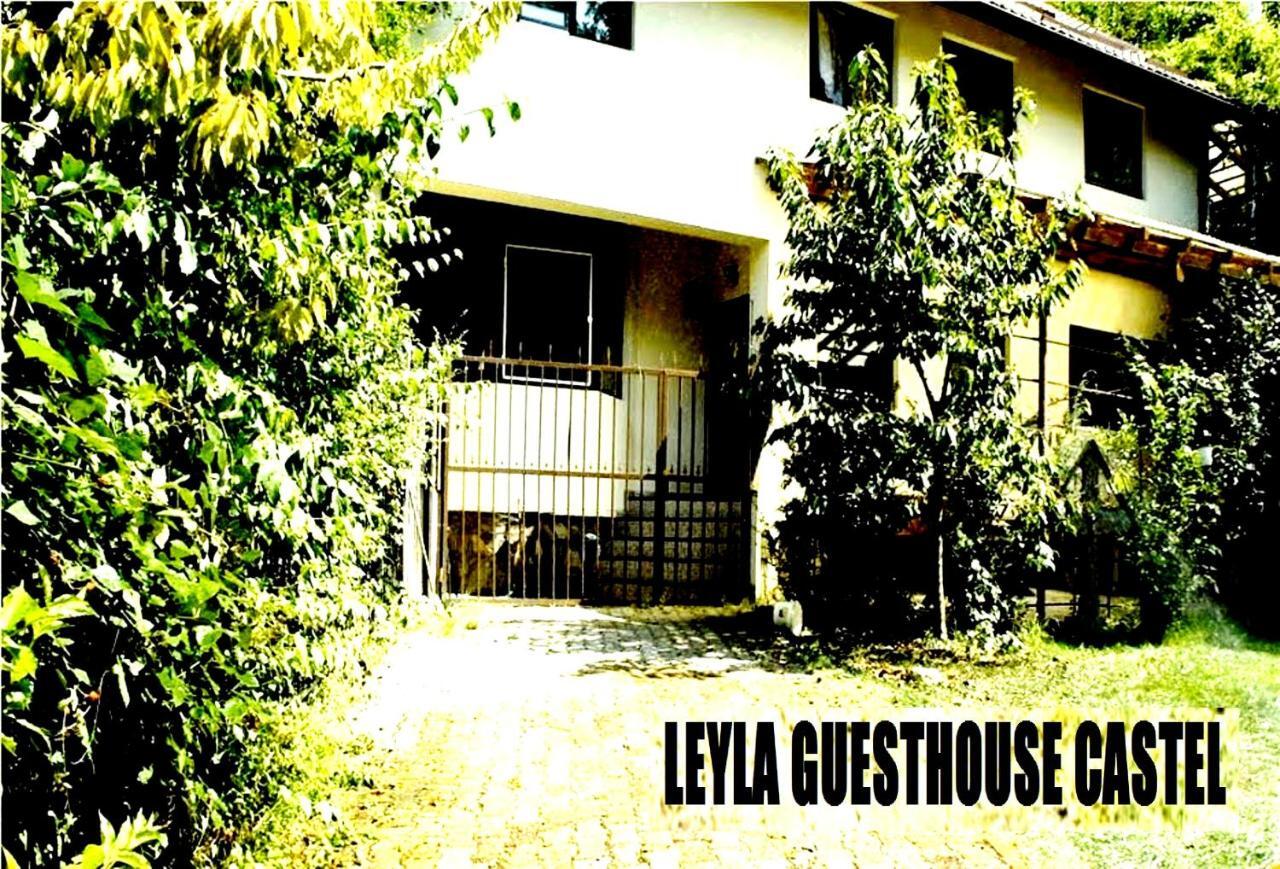 Leyla Guesthouse Castel Брашов Экстерьер фото
