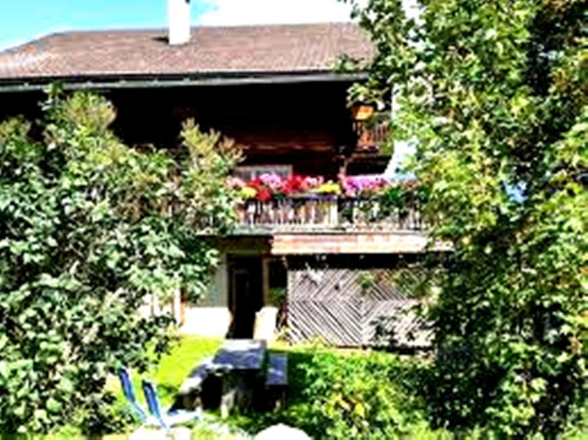 Leyla Guesthouse Castel Брашов Экстерьер фото
