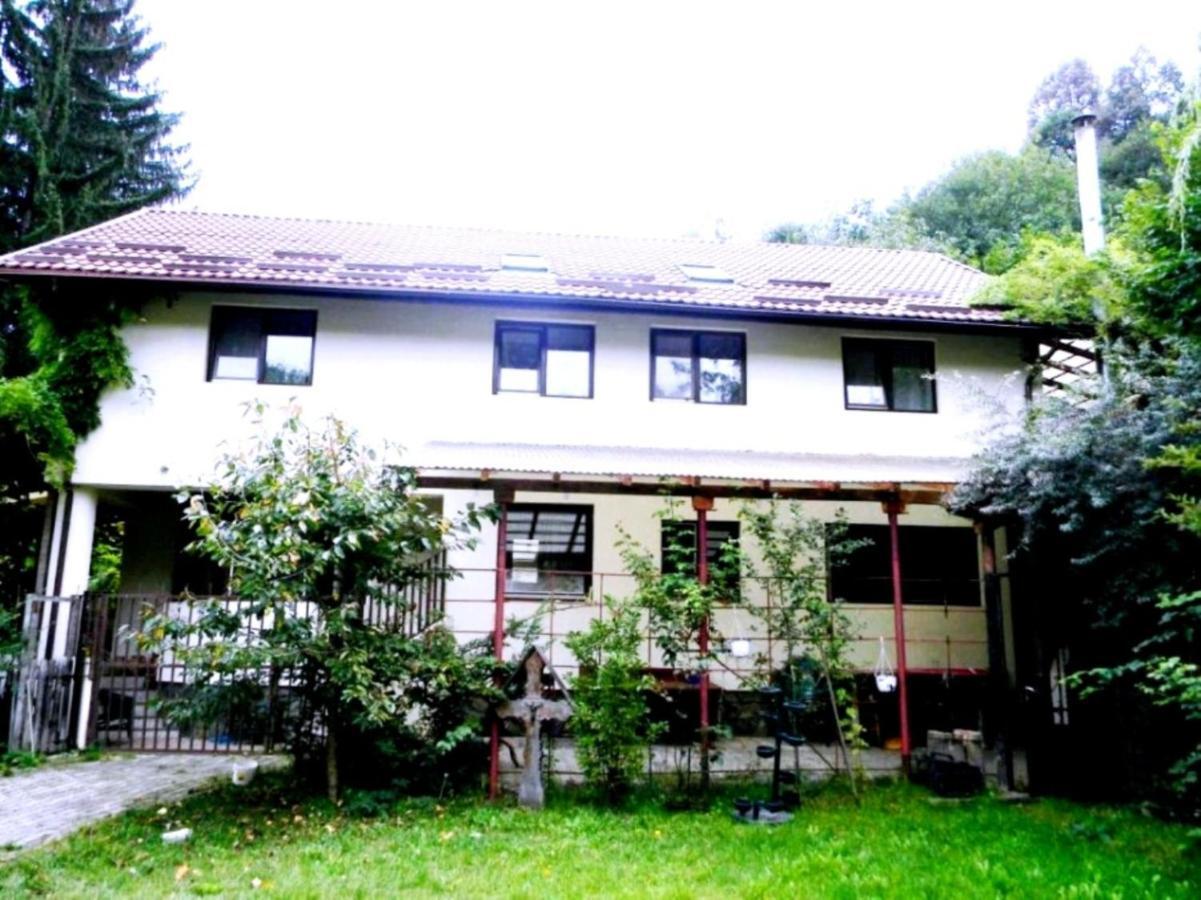 Leyla Guesthouse Castel Брашов Экстерьер фото